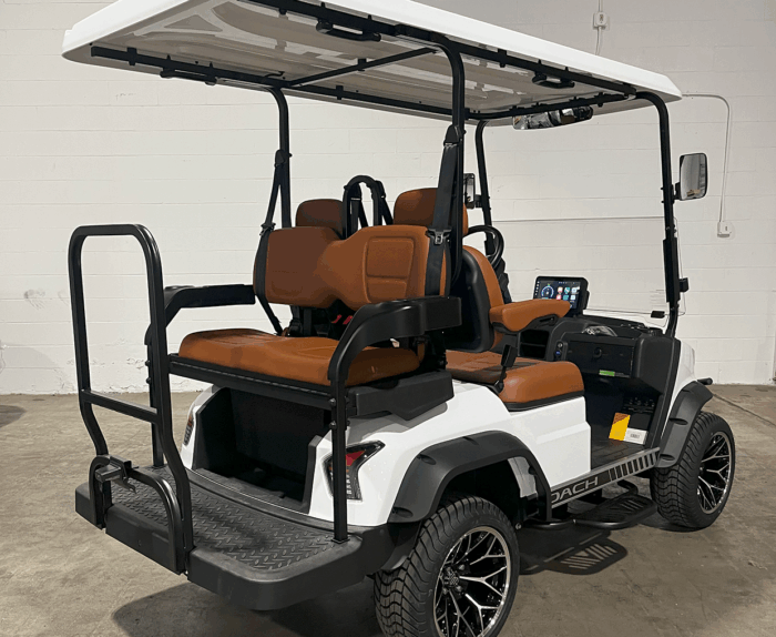 DACH Falcon 2+2 Solar Electric Golf Cart - Image 2